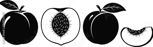 Set of Peach Fruit Silhouette Icons for Food Design, Whole and Sliced Half Fruit with Pit, CAD Drawing Flat Vector Illustration