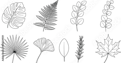 Collection of nine botanical leaf line art icons including monstera fern ginkgo and maple cad drawing flat vector illustration set