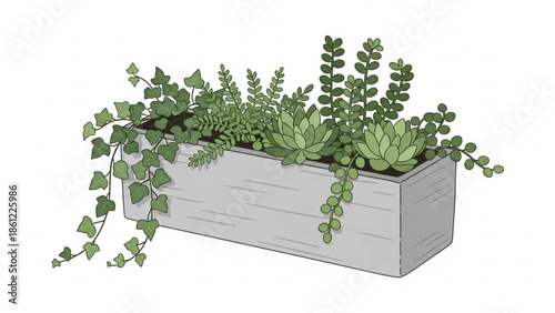 Lush illustration of a rectangular planter box filled with an array of vibrant green succulents and elegant trailing plants.