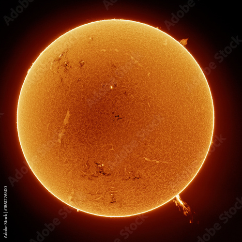 Fotografie Sun in H-Alpha Light with Prominences and Filaments