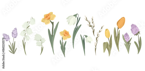Spring botanical elements set with snowdrops, daffodils and lavender, Easter garden decor vector illustration collection, isolated wreaths and flowers for rustic design.