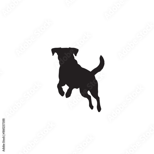 silhouette of a dog jumping white background