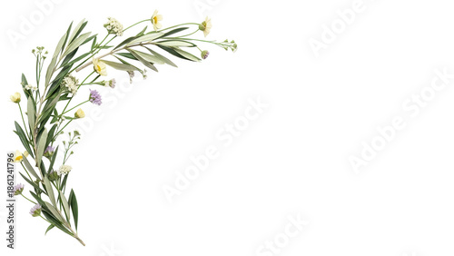 Soft minimal floral corner composition with wildflowers and olive branches in neutral sage green isolated on white background
