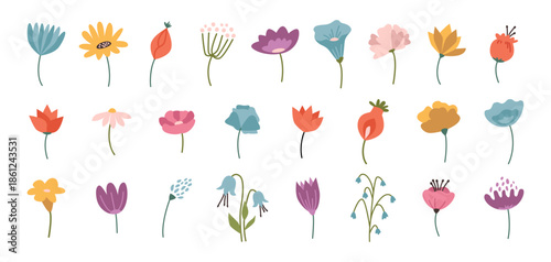 Blooming wildflowers on stems, isolated collection of meadow, forest and field flowerets. Vector seasonal plants in blossom. Flourishing season flora. Flowers diversity. Summer orchard botany