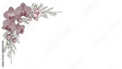 Luxury minimal floral corner border with orchids and delicate foliage in a muted mauve color isolated on white background