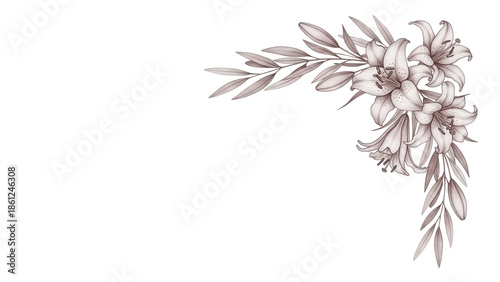 Soft watercolor corner composition with lilies and olive branches in muted mauve tones isolated on white background