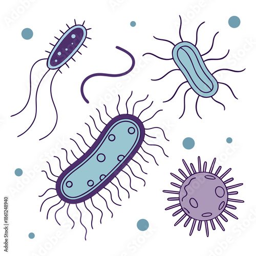 Illustration of various bacteria