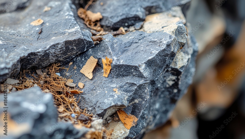Fototapeta premium Bio remnants organic residue on rough stone surface