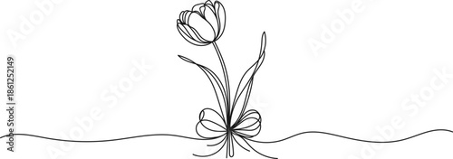 Continuous line tulip with bow. Minimalist continuous tulip. Elegant one line art with thin clean stroke. Hand drawn linear floral design isolated on white background. Spring, wedding, greeting cards 