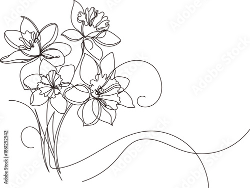 Minimalist line art illustration of narcissus flower bouquet, delicate spring daffodils continuous line drawing for wedding invitation or floral logo design