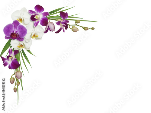 Elegant orchid flower corner design in purple and white shades isolated on white background