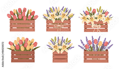 Spring flower wooden box vector set with tulips lilies and lavender isolated on white background