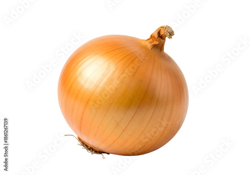 Wallpaper Mural Fresh yellow onion whole bulb with smooth skin isolated on transparent background for vegetable food and cooking design Torontodigital.ca