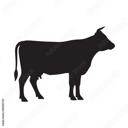 cow