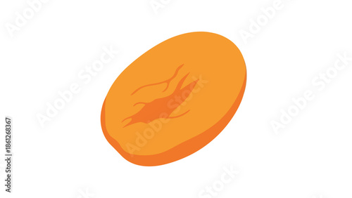 Vibrant orange organic natural snack food illustration single healthy nutrient rich dry fruit seed isolated element for diverse culinary graphic