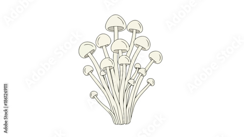 Clean illustrative rendering of a vibrant cluster of enoki mushrooms featuring slender stalks and subtle rounded caps showcasing natural organic