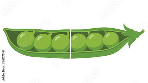 A delightful illustration of a freshly opened vibrant green pea pod containing seven plump, succulent peas, depicting nature's fresh bounty and
