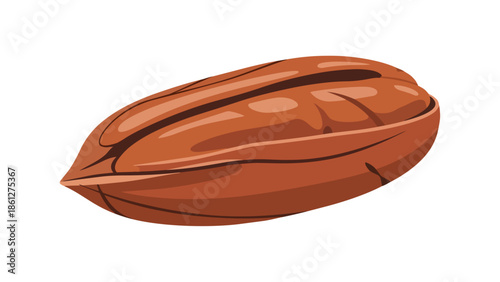 Stylized illustration of a whole pecan nut in its natural shell a healthy snack icon