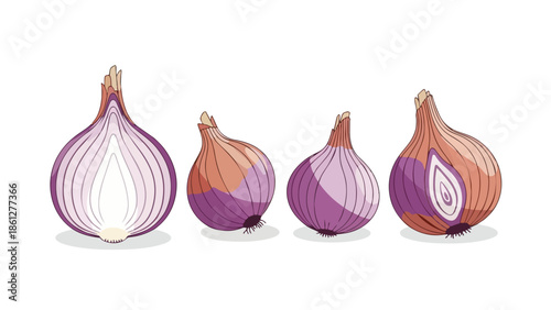 Vibrant illustration of red onions whole and sliced showcasing their distinct purple layers and brown outer skin essential for culinary uses