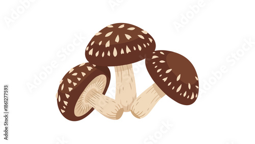 An engaging illustration featuring a trio of earthy mushrooms with distinct spotted caps and light-toned stems, perfect for diverse culinary and