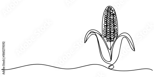 Continuous one line drawing of corn, One line drawing illustration of vegetarian food, sketch isolated on white background. Vector illustration, Continuous one line drawing of a fresh corn cob