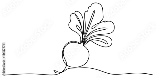 Radish Line Drawing, Continuous one line drawing of beet root. One line drawing illustration of growing radish. Vegetable growing concept continuous line art. Editable outline, Continuous one line