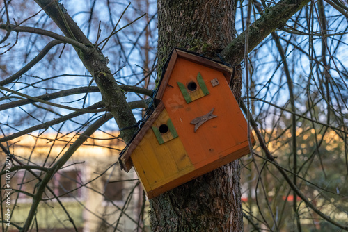 Charming wooden birdhouse perched on a tree, capturing the essence of nature's beauty in a serene outdoor setting