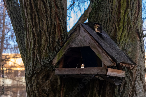 Old wooden birdhouse nestled in a tree with a backdrop of wintery branches and soft sunlight