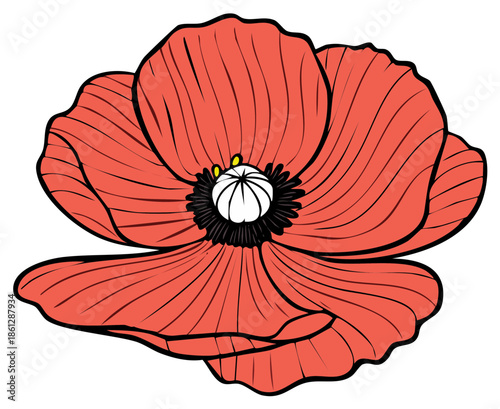 Stylized red poppy flower illustration with black outline and white center