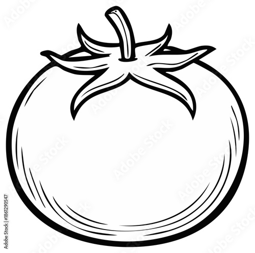 Simple tomato line art illustration black and white vegetable drawing