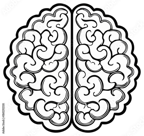 Graphic human brain illustration with decorative swirls symbolizing mind creativity and intelligence