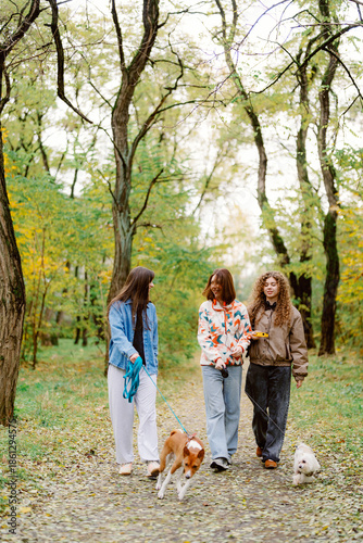 Tableau sur toile Three friends stroll along a leafy path in a vibrant park during autumn