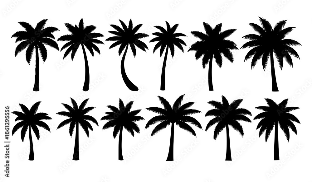 Fototapeta premium Black palm tree silhouettes vector set with tropical beach plant shapes isolated on white background