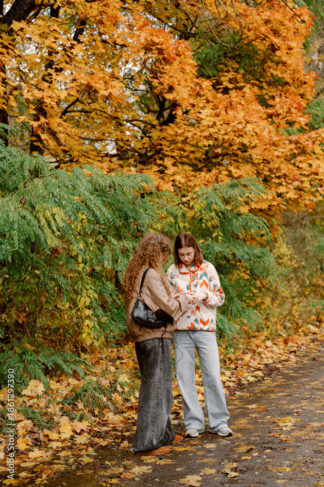 Obraz premium Two friends chat and laugh on a autumn day, surrounded by vibrant orange and yellow leaves. The serene setting invites moments of connection and joy in nature.