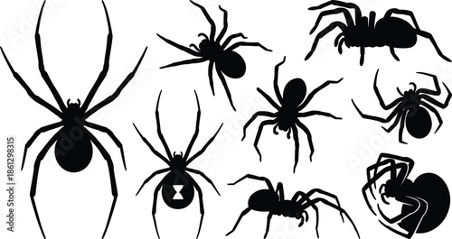 Spider silhouettes collection illustration featuring multiple arachnid poses, creepy insect shapes black vector icons isolated on white background design