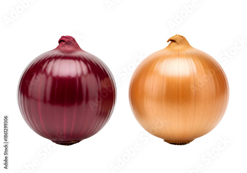 Red and yellow onions whole bulbs side by side isolated on transparent background for fresh vegetable and food design