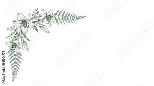 Hand painted minimal floral border corner with lilies and fern in soft sage green isolated on white background