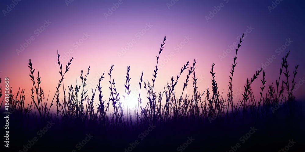 Obraz premium Silhouettes of wild grass and plants against vibrant purple sunset sky creating peaceful nature scene for meditation and relaxation backgrounds.