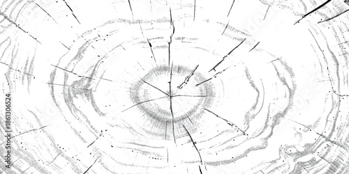 Abstract black and white view of a tree trunk cross section with growth rings