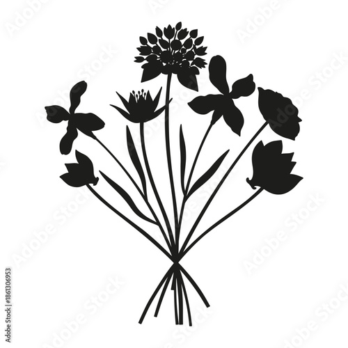 Wildflowers silhouette bouquet. Hand-drawn matthiola, cyclamen, meadow flowers, herbs, and wild plants. Botanical elements for design projects. Minimal style, vector illustration