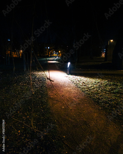 Short walk through a frozen park