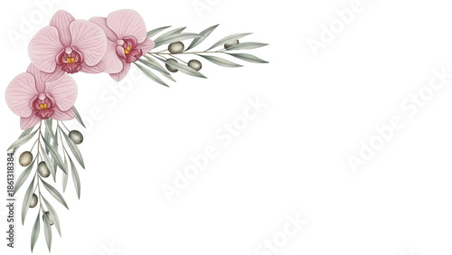 Minimal elegant watercolor corner design with orchids and olive branches in dusty rose isolated on white background