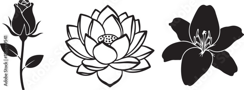 Silhouette Flower Illustrations Rose Lotus Lily vector