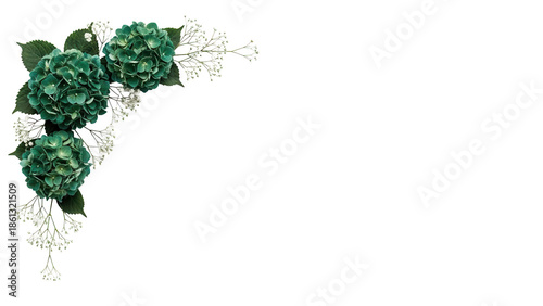Minimal luxury botanical corner border featuring hydrangeas and baby's breath in deep emerald green isolated on white background