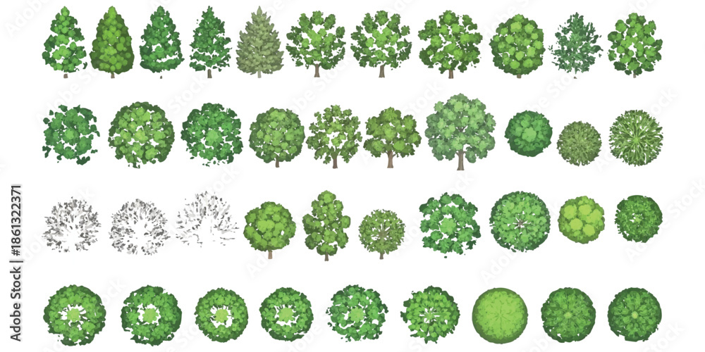 Fototapeta premium A diverse collection of top view and elevation view trees for architectural plans and landscape design