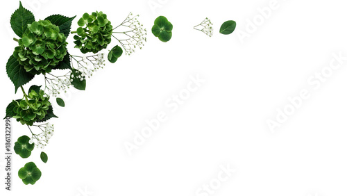 Minimal luxury botanical corner border featuring hydrangeas and baby's breath in deep emerald green isolated on white background