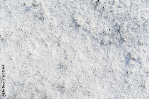 Fresh White Snow Texture with Sparse Grass Blades
