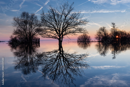 Symétrie haut et bas par réflexion sur l'eau d'un lac en hiver, effet miroir. Arbres et buissons avec couleurs du coucher de soleil. Lac de Grand-Lieu près de Nantes