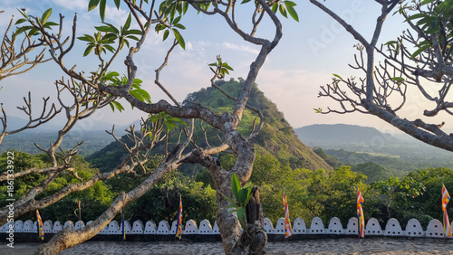 The hilly midlands of Sri Lanka near Dambulla.