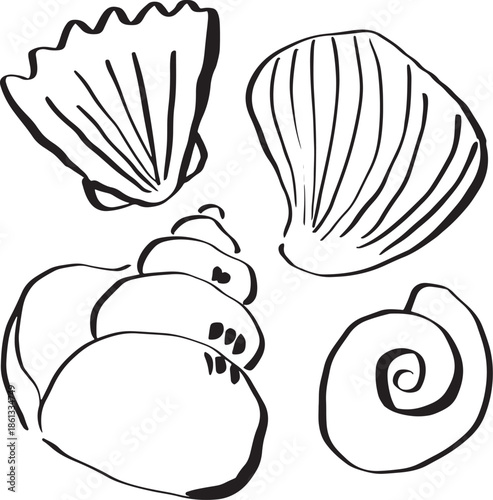Sea shell doodles. Hand drawn illustrations. Summer illustration set. Beach holiday. Simple sketches.